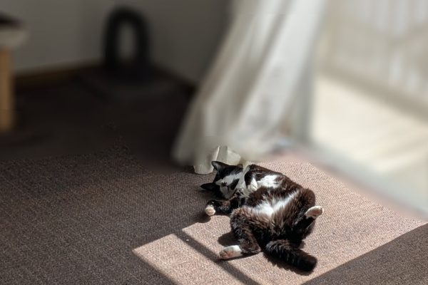 毎日言っている言葉たち