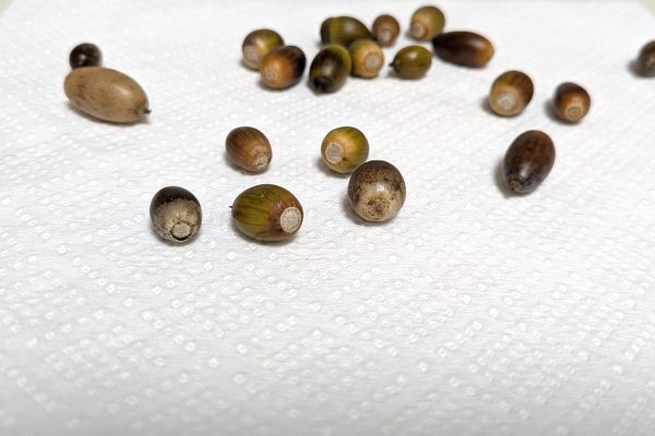 本当に面倒だったこと